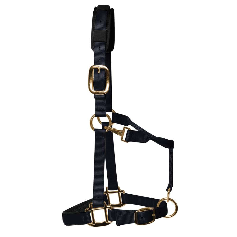 KM Elite Luxury Padded Headcollar