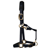 KM Elite Luxury Padded Headcollar