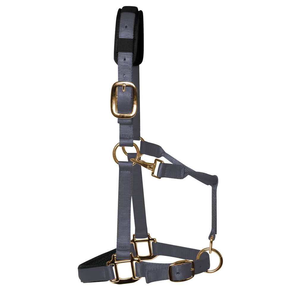 KM Elite Luxury Padded Headcollar