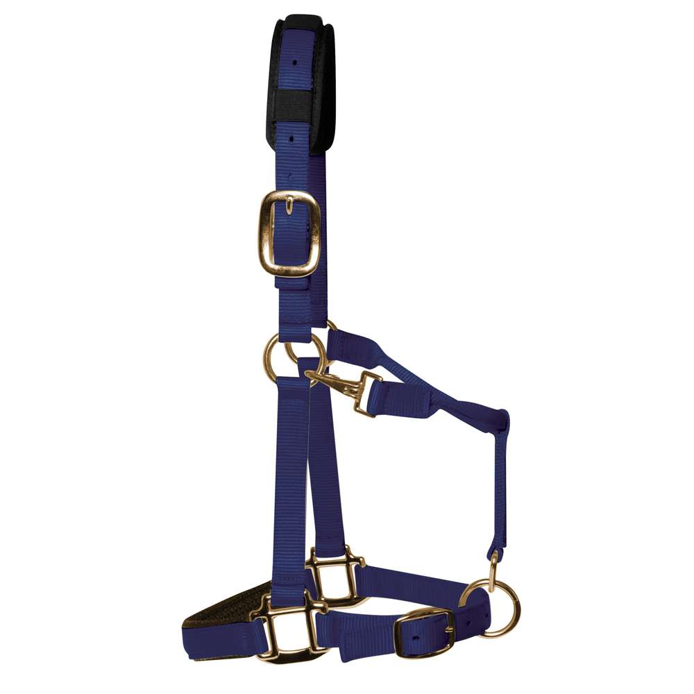 KM Elite Luxury Padded Headcollar