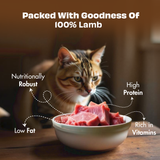 Pawfect Nature's Feast Freeze Dried Cat Treats Lamb Meat 150g