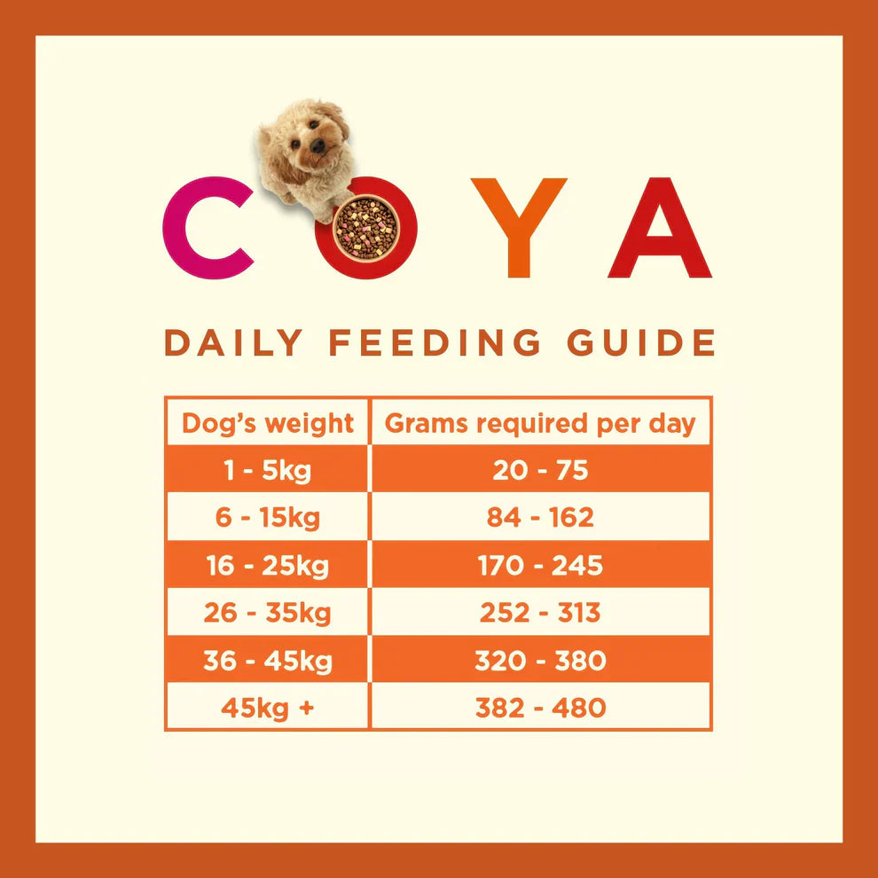 Coya Kibble Plus Adult Turkey 1.5kg