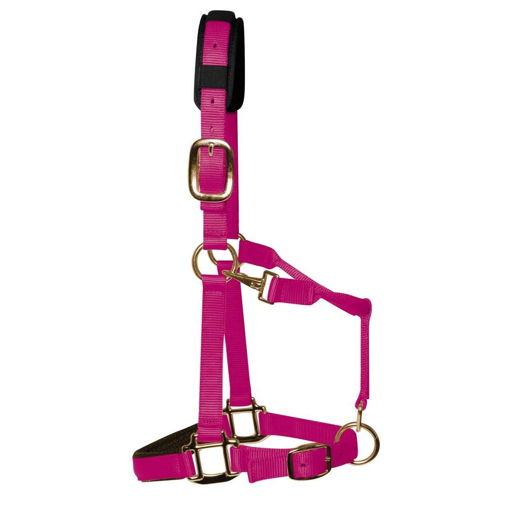 KM Elite Luxury Padded Headcollar