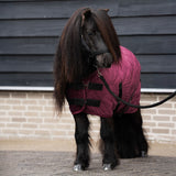 HV Polo Pony Stable Blanket HVPSacha Wine