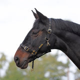 Shires ARMA Control Headcollar Black