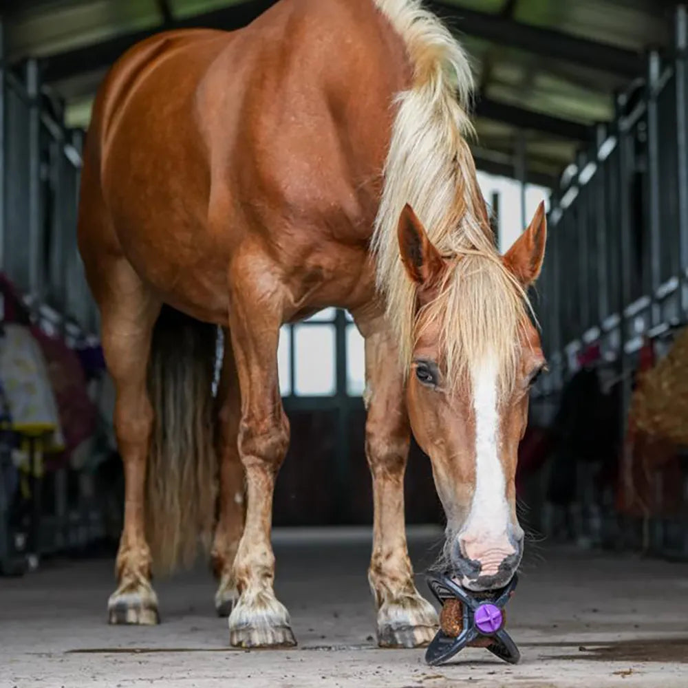 Bizzy Ball Complete Black