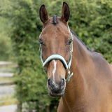 Hy Equestrian Mermaid Shimmer Head Collar And Lead Rope Set