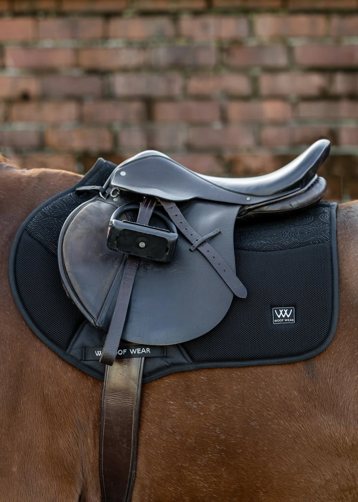 Woof Wear Elite Comfort Mesh Saddle Pad CC Black Cob