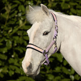 Hy Equestrian Glimmer Head Collar Lilac