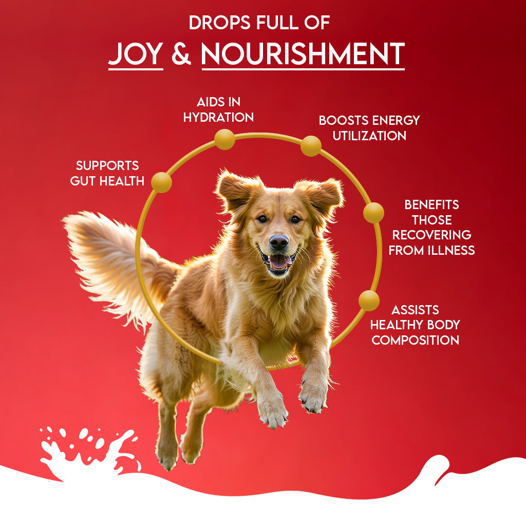 Pawfect Nature's Sip 100% Goats Milk With Pomegranate & Cranberry Powder 120g