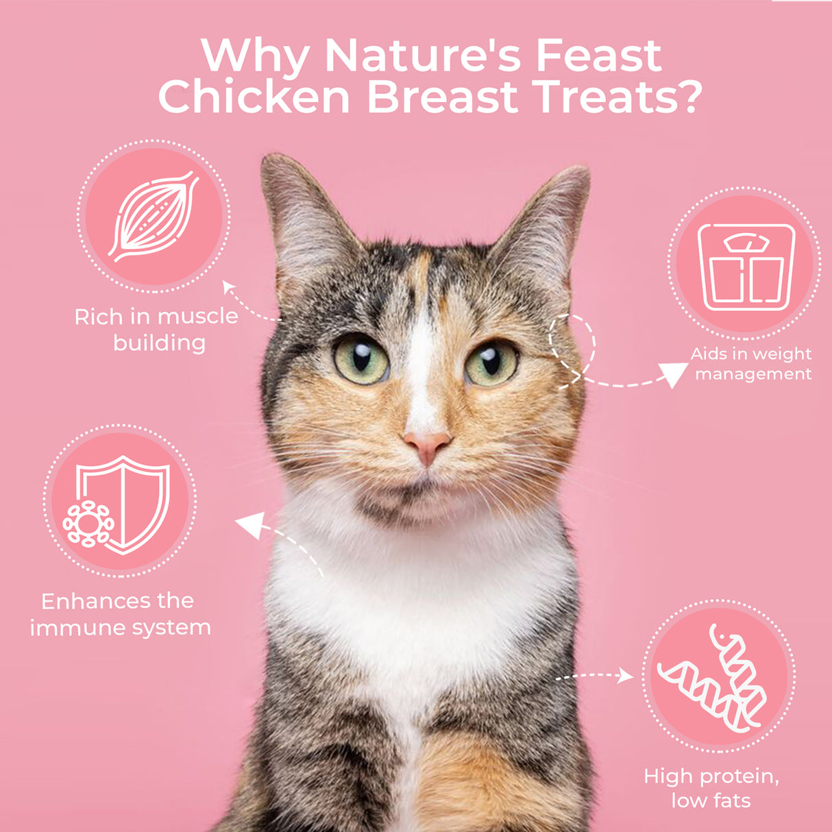 Pawfect Nature's Feast Freeze Dried Cat Treats Chicken Breast 200g