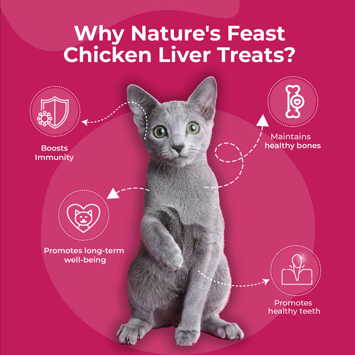 Pawfect Nature's Feast Freeze Dried Cat Treats Chicken Liver 50g