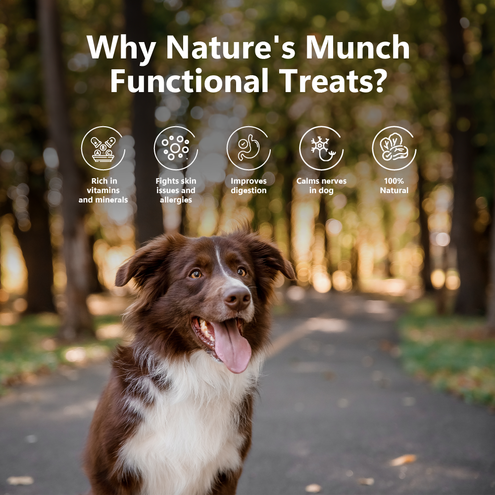 Pawfect Nature's Munch Freeze Dried Dog Treats Health & Digestion 75g