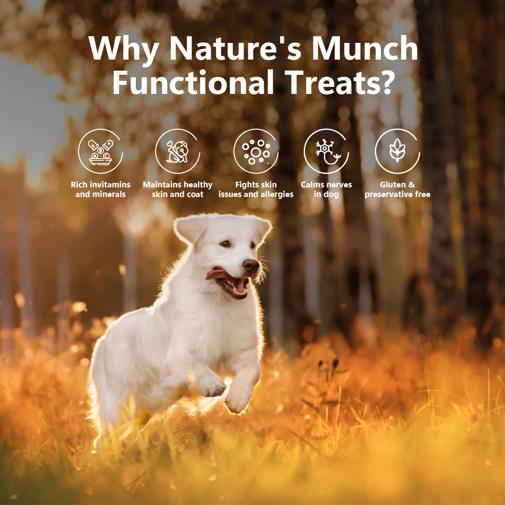Pawfect Nature's Munch Freeze Dried Dog Treats Skin Care & Shine 75g