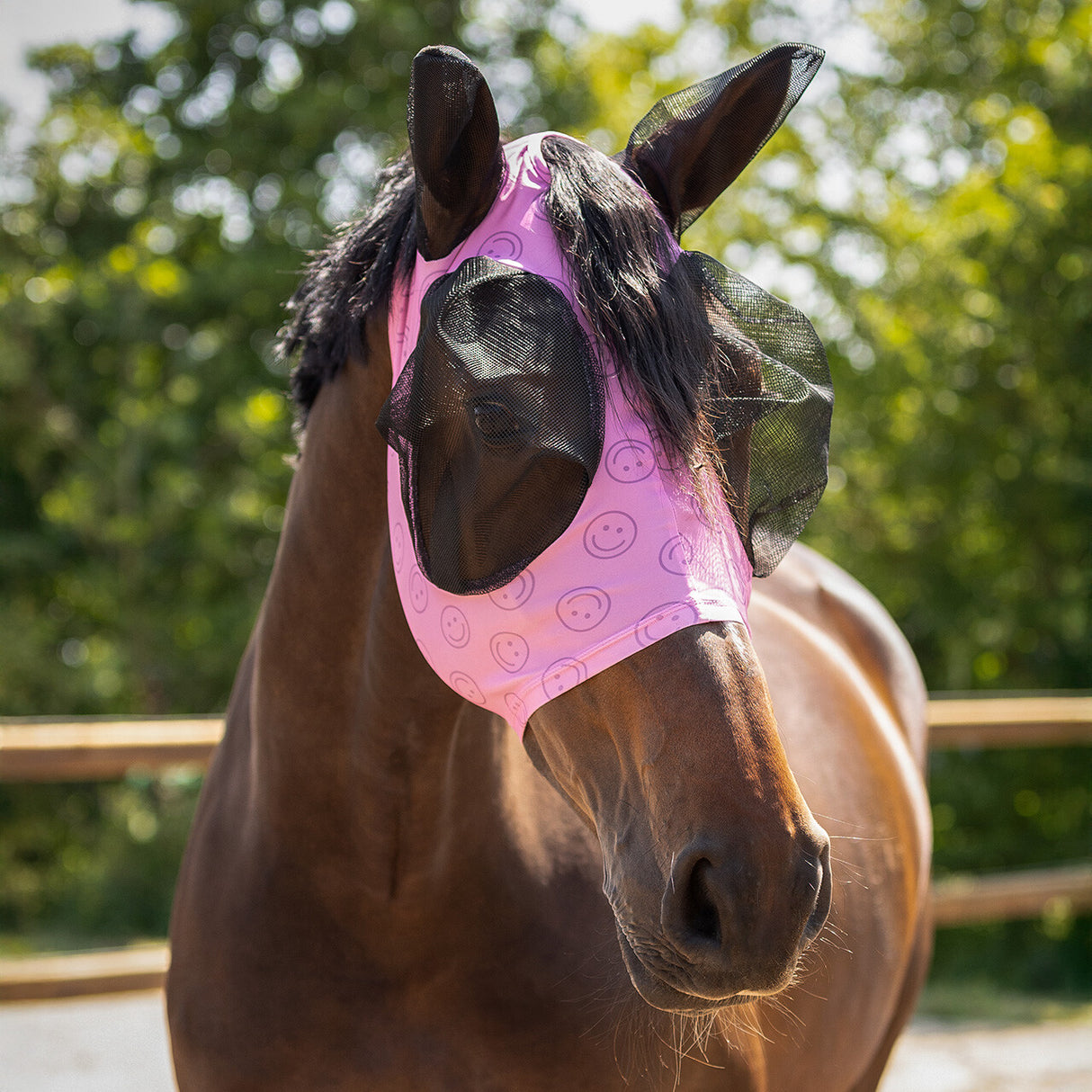 QHP Fly Mask Super Bug Collection Cheery Pink