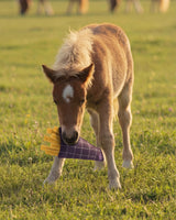 QHP Horse Toy Snackcounter Fries