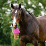 QHP Horse Toy Snackcounter Ice Cream