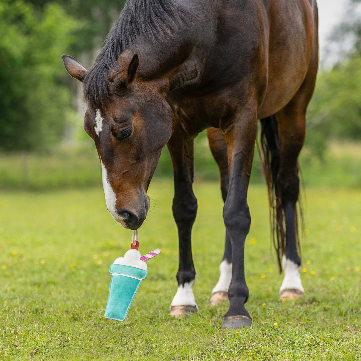 QHP Horse Toy Snackcounter Milkshake