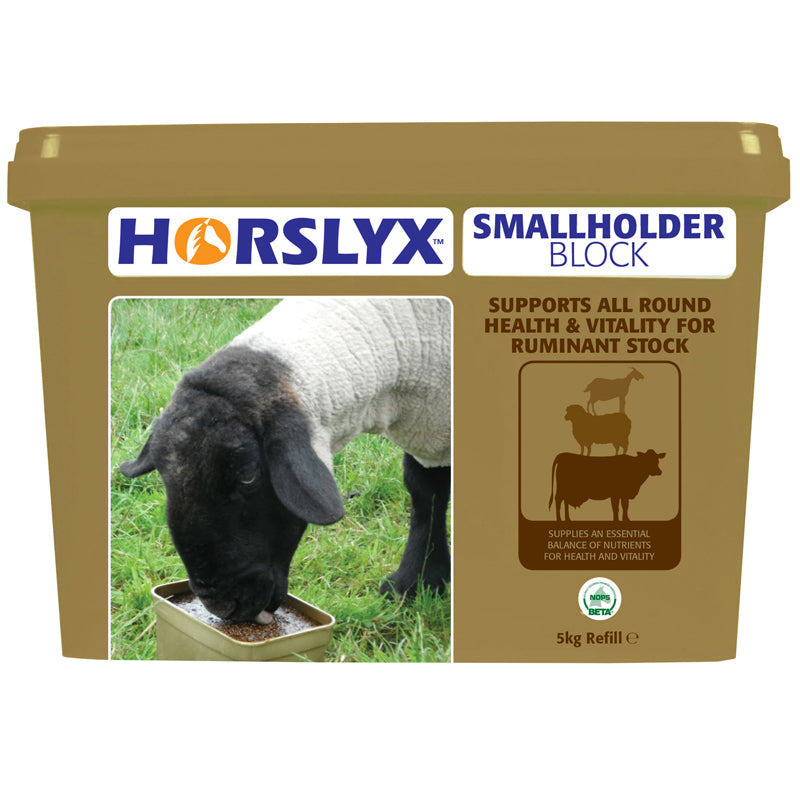 Horslyx Small Holder Block 5kg