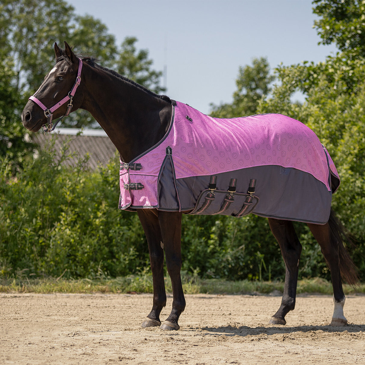 QHP Fly Sheet Collection With Neck And Hood Cheery Pink