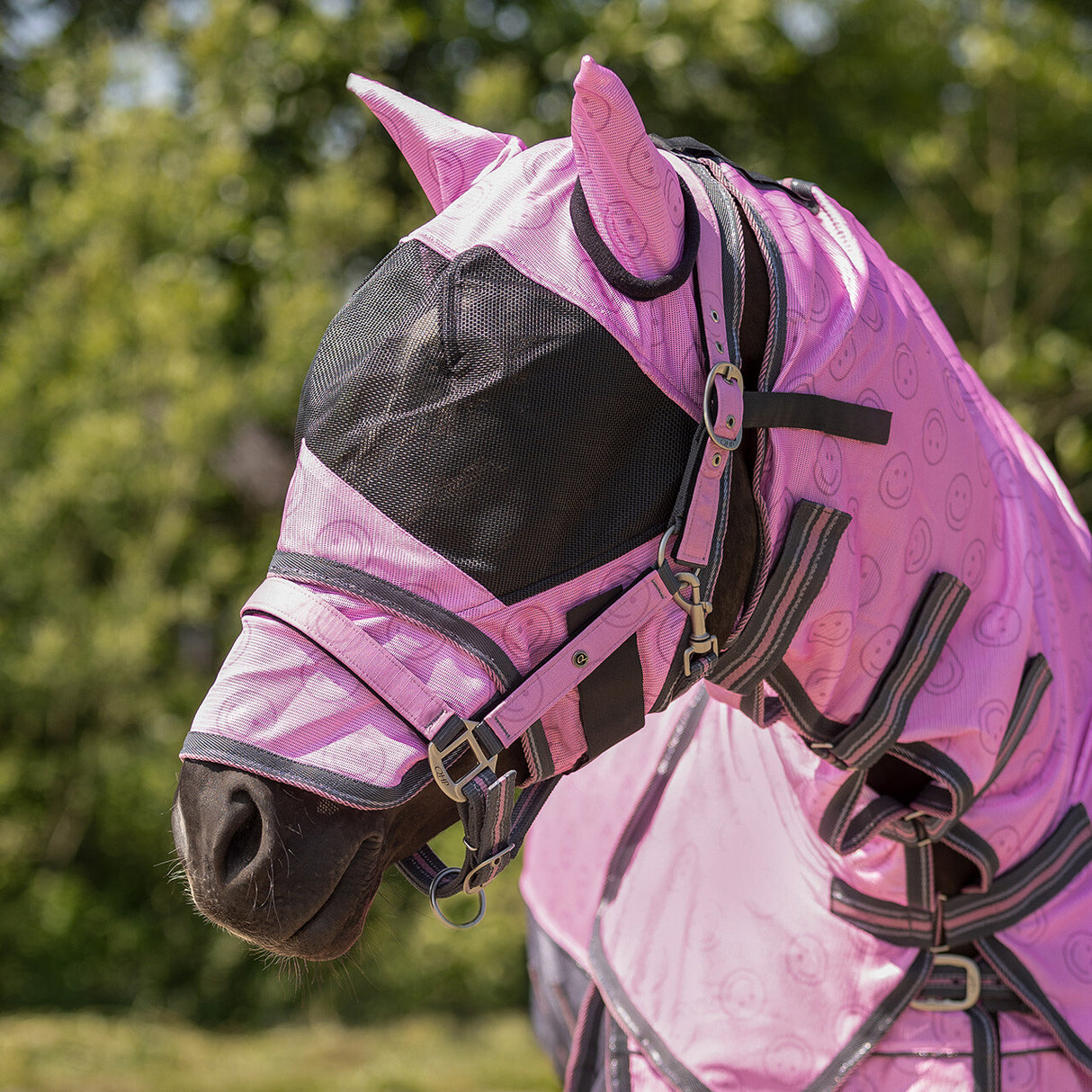 QHP Fly Sheet Collection With Neck And Hood Cheery Pink