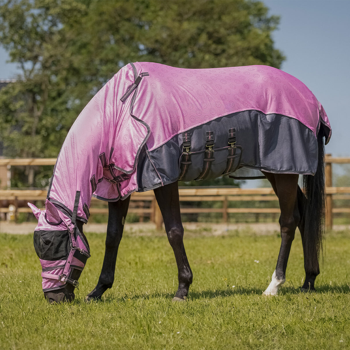 QHP Fly Sheet Collection With Neck And Hood Cheery Pink