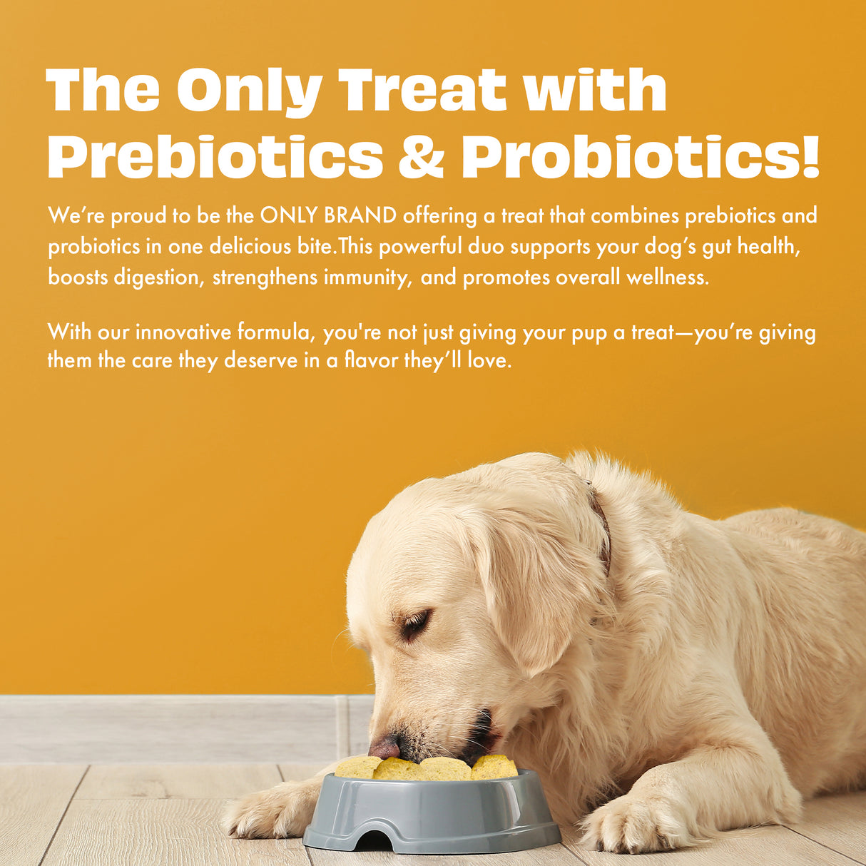 Pawfect Yogurt Melties Pre and Probiotic Dog Treats with Pumpkin, Beetroot, Cabbage & Fennel Seeds 38g