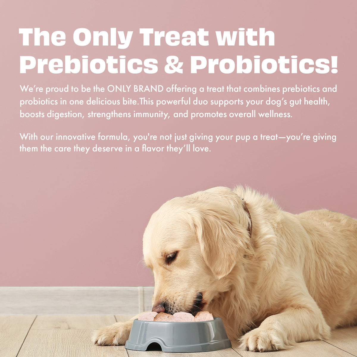 Pawfect Yogurt Melties Pre and Probiotic Dog Treats with Strawberry, A ...