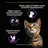 Pro Plan Cat - Kitten Healthy Start Turkey in Gravy 10x85g