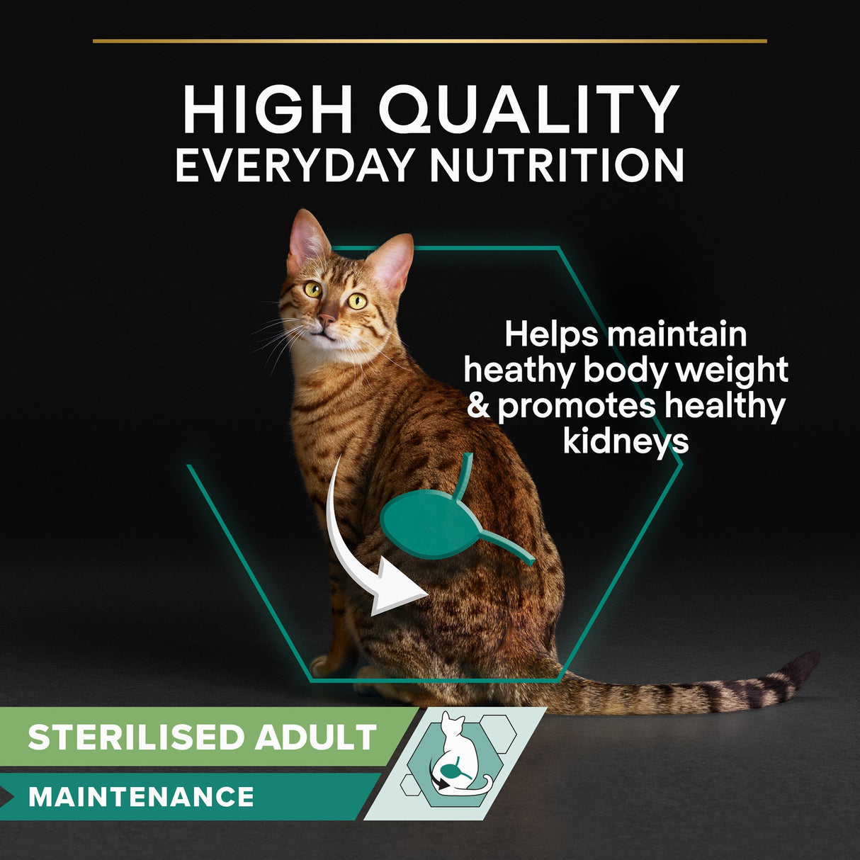 Pro Plan Cat - Adult Sterilised Maintenance Chicken In Gravy 10x85g