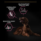 Pro Plan Dog - Adult Large Athletic Sensitive Skin Salmon 14kg