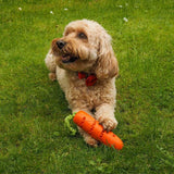 Zoon Carrot Treat Dispenser
