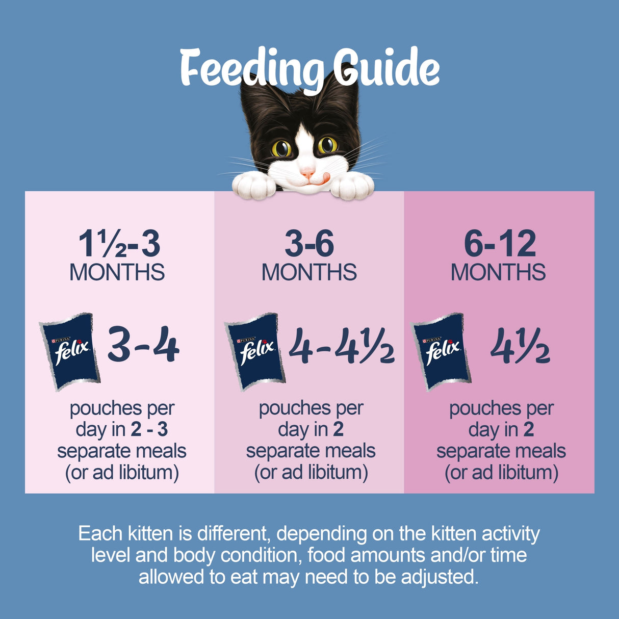 Felix Original Kitten Mixed Selection in Jelly Wet Cat Food 12x85g