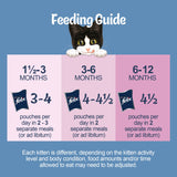 Felix Original Kitten Mixed Selection in Jelly Wet Cat Food 12x85g