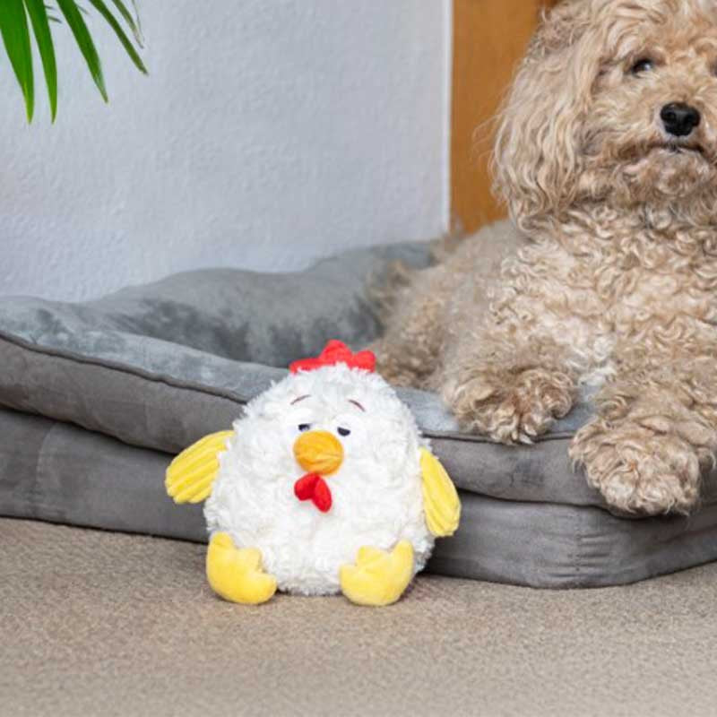 Zoon Cluck ChewPal