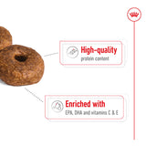Royal Canin Medium Ageing 10+ 15kg