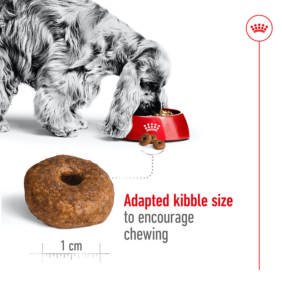 Royal Canin Medium Ageing 10+ 15kg
