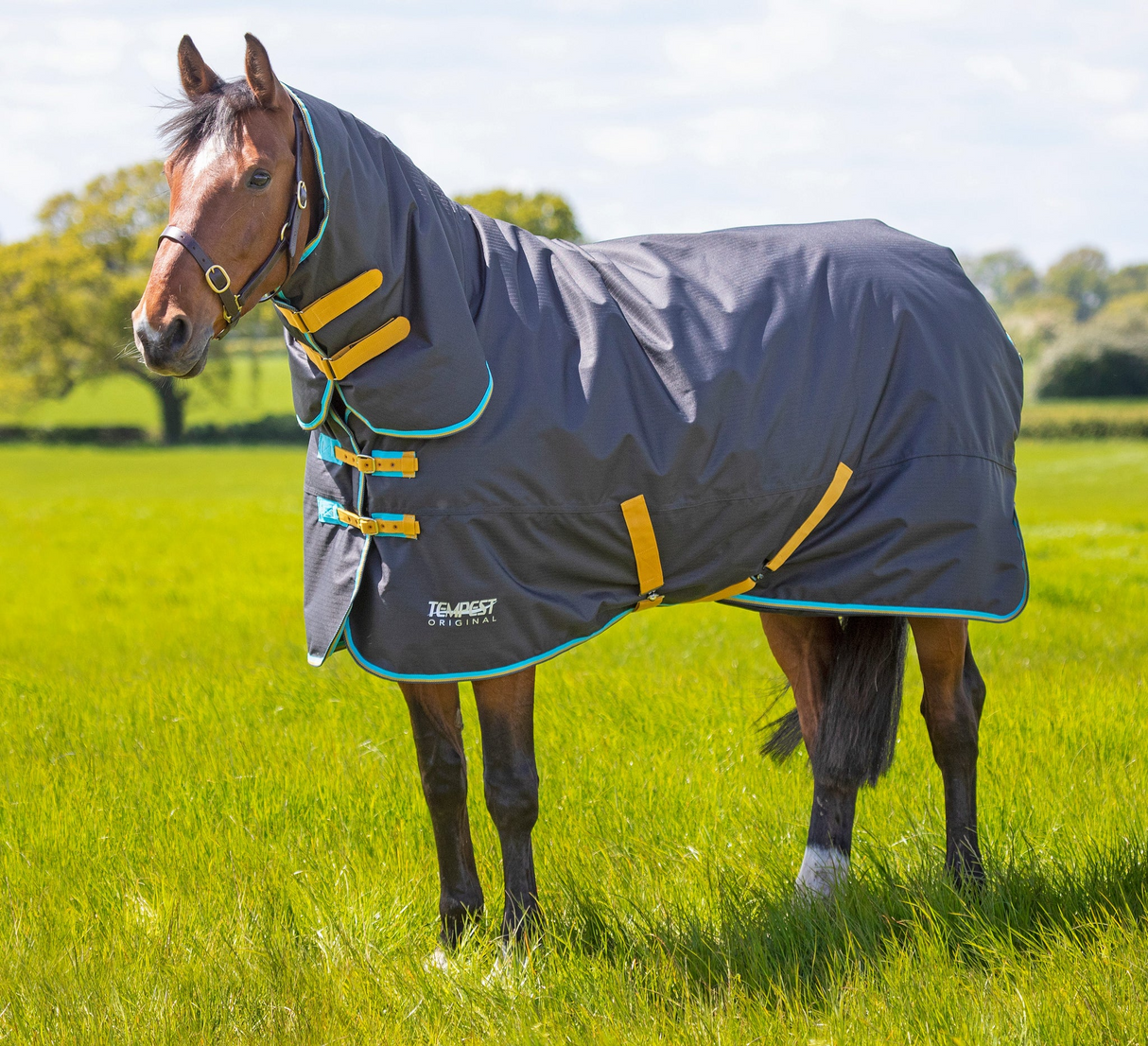 Shires Tempest Original 300 Turnout Combo Rug Black