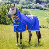 Shires Tempest Original 50g Combo Turnout Rug Royal