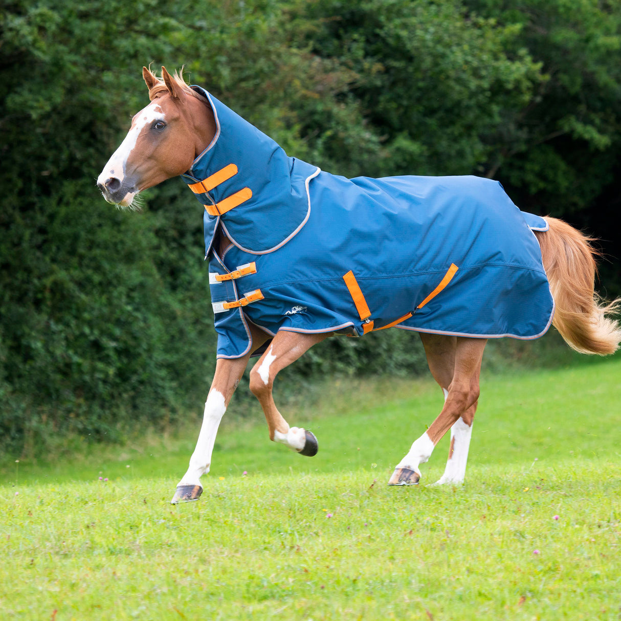 Shires Tempest Original Lite Turnout Rug & Neck Set Teal