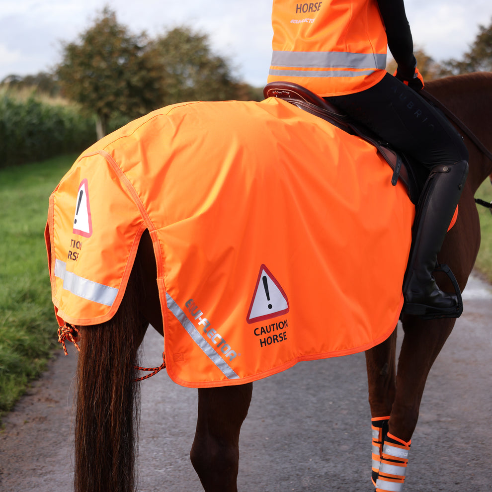 EQUI-FLECTOR Waterproof Exercise Sheet