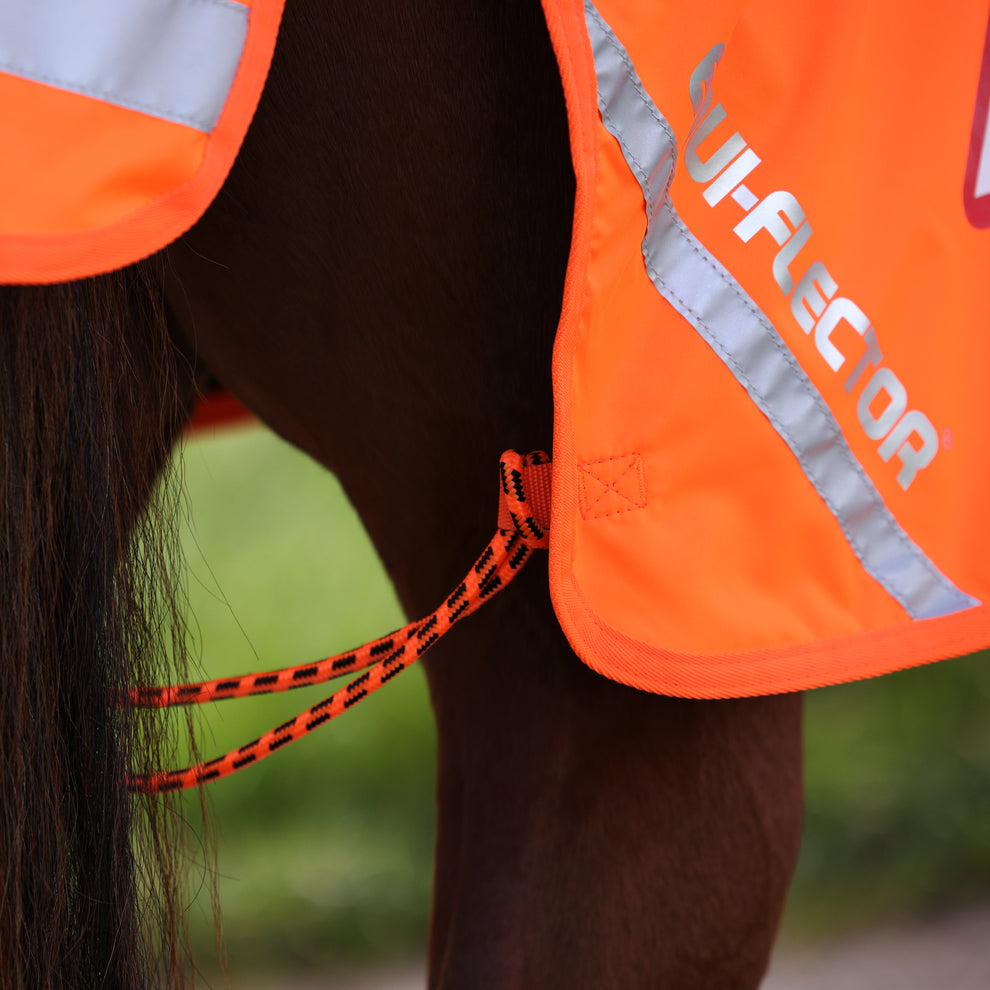 EQUI-FLECTOR Waterproof Exercise Sheet