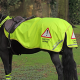 EQUI-FLECTOR Waterproof Exercise Sheet