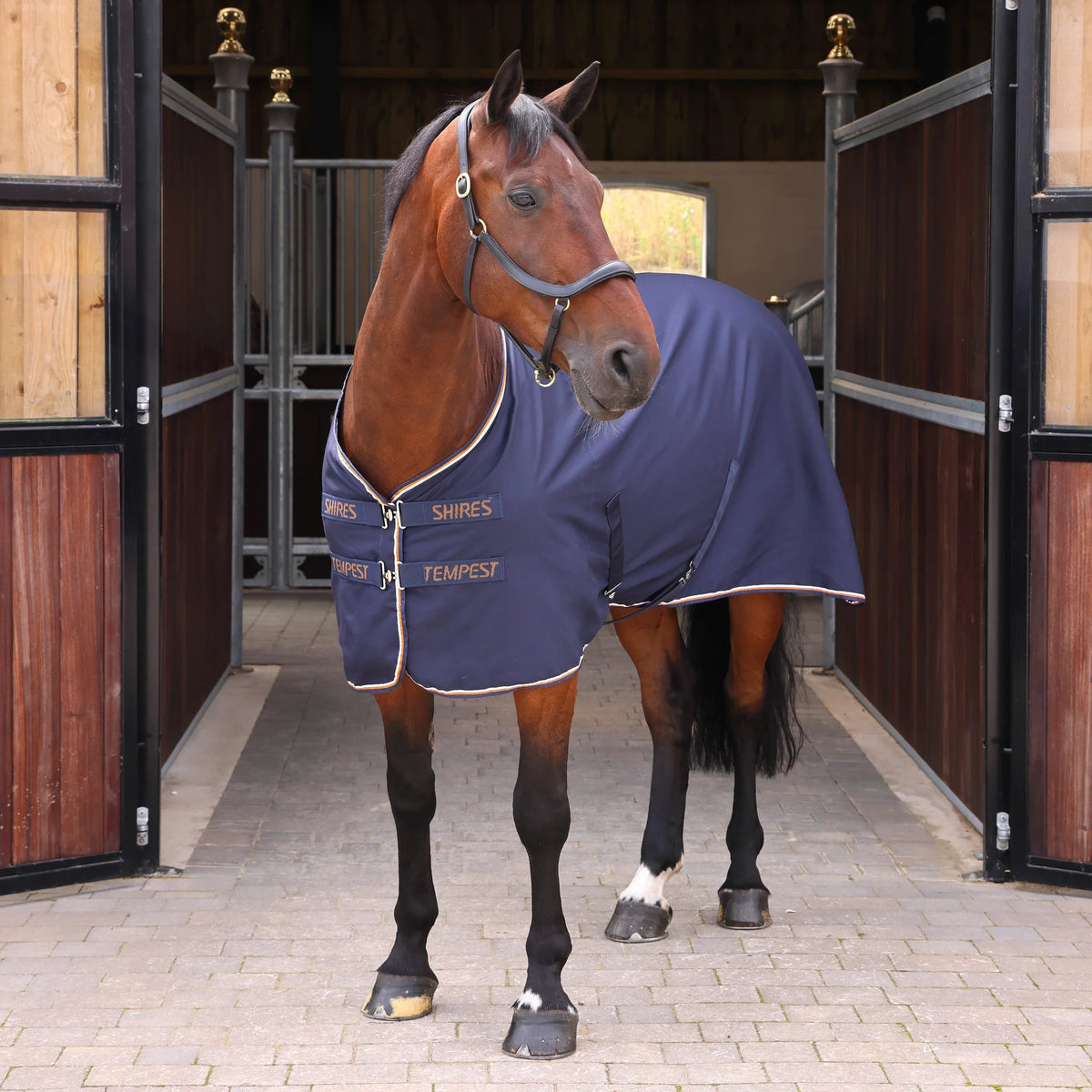 Shires Tempest Original Stable Sheet Maroon Ink
