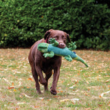 Ancol Playtime Cuddle Lizard