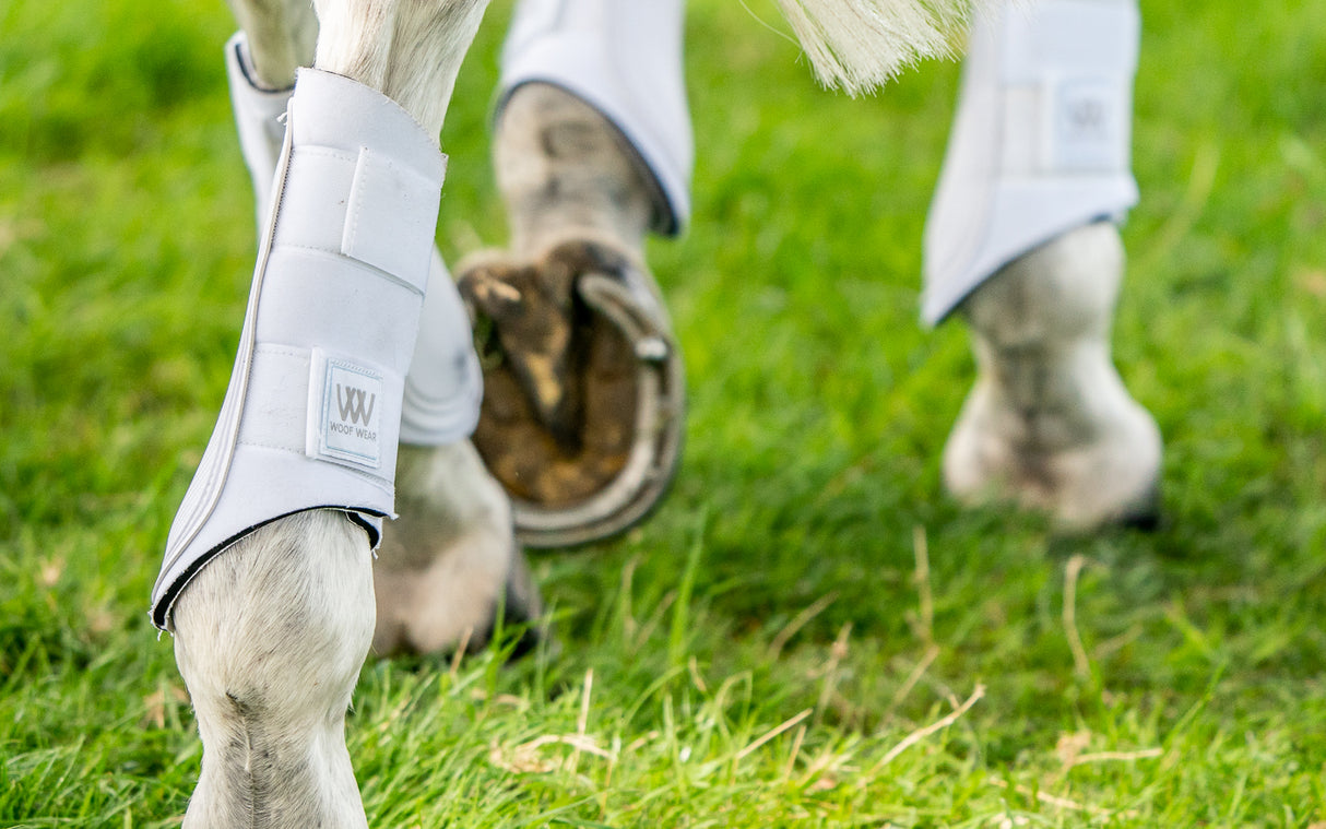 Woof Wear Double Lock Brushing Boot