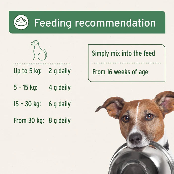 Aniforte Canine Complete 500g