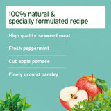 Aniforte Dental Powder 80g