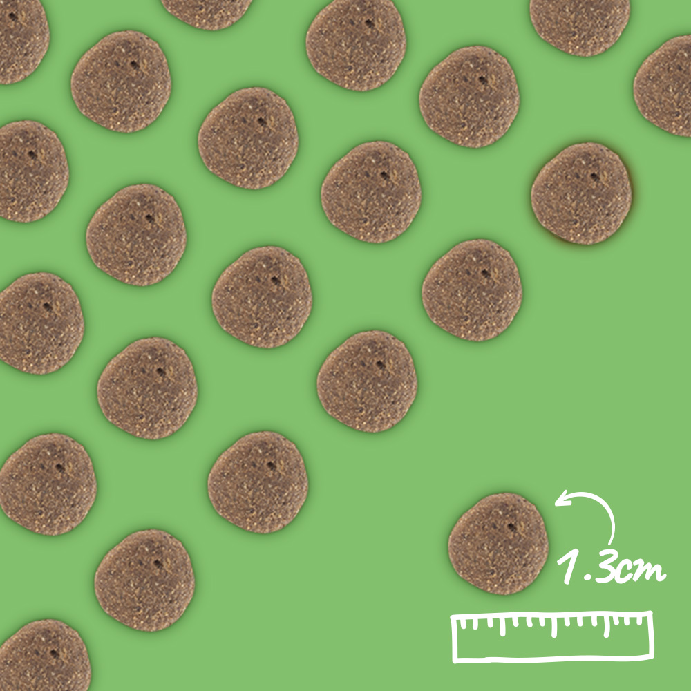 Arden Grange Vet Care Weight Control 12kg