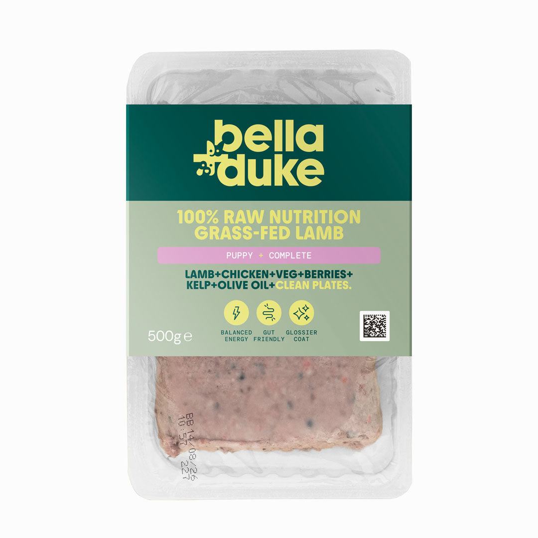 Bella + Duke Puppy Complete Lamb 500g